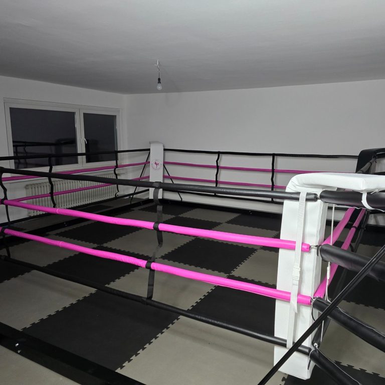 Boxring MFC Euskirchen - Kickboxen